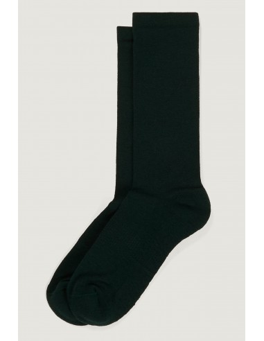 Chaussettes Felix vert-sapin store