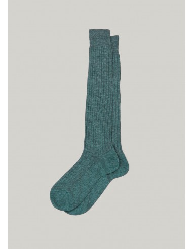 Caesar socks in green En savoir plus