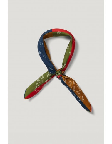 Foulard BG10 multicolore sur le site 